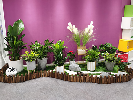 政府綠植租擺